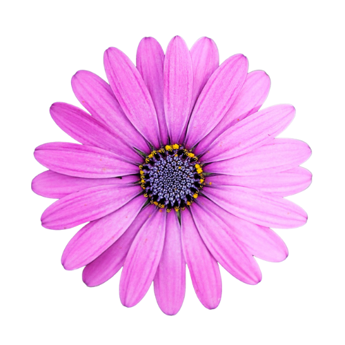 Flor de masaje de autoconcepto
